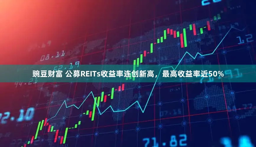 豌豆财富 公募REITs收益率连创新高，最高收益率近50%