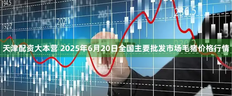 天津配资大本营 2025年6月20日全国主要批发市场毛猪价格行情
